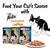 FELIX® Sensations Jellies Chicken & Spinach in Jelly Wet Cat Food