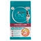 PURINA ONE® Adult Urinary Care with Chicken Dry Cat Food