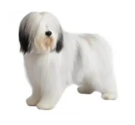 Polish Lowland Sheepdog