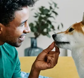 Can Dogs Eat Bread?