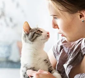 Adopting a Cat or Kitten