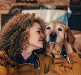 Common Golden Retriever Health Problems