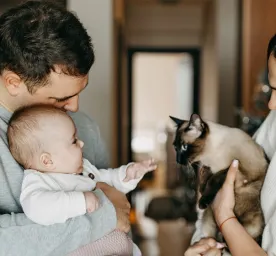 How to Safely Introduce Cats and Babies for the First Time
