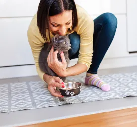 What Human Foods Can Cats Eat?