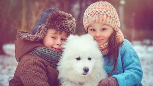 Japanese Spitz with two kids