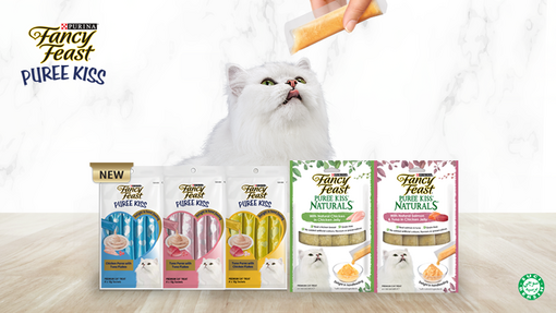 White persian cat enjoying hand fed wet treat with FANCY FEAT Puree Kiss Cat Treats