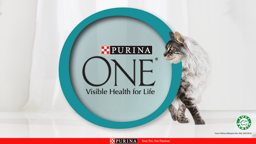 PURINA ONE® logo with Maine Coon Cat