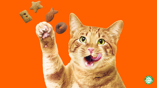 Friskies ginger cat