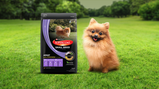 A poramenian dog smiling with SUPERCOAT packshot & logo