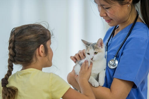 Veterinar showing kitten to its little owner