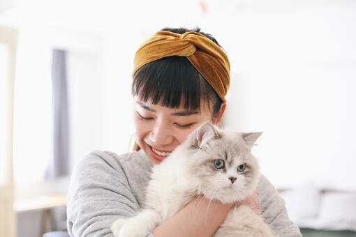 Owner hugging cat