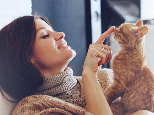 Owner playing with kitten