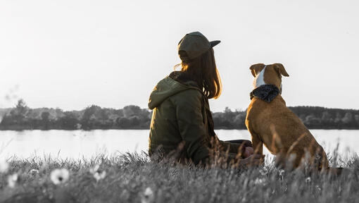 dog and girl looking at the landscape