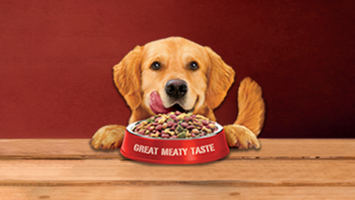 A dog looking excitedly hungry in front of a bowl of ALPO dog food