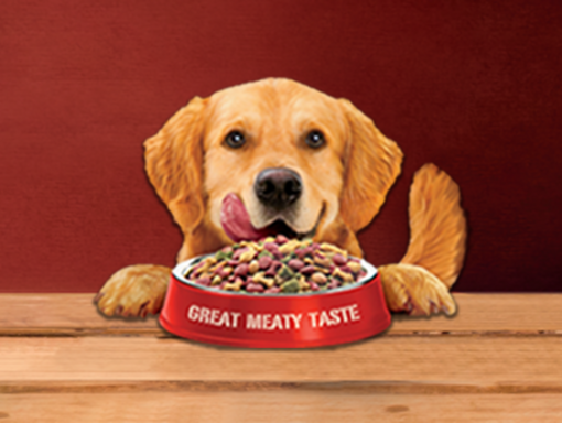 A dog looking excitedly hungry in front of a bowl of ALPO dog food