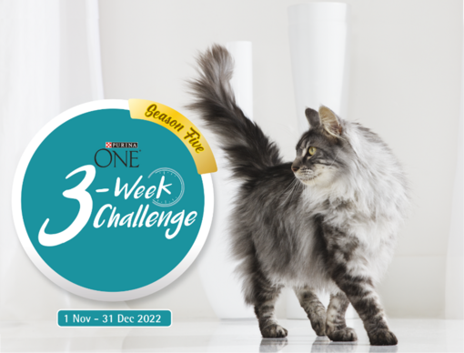 3wc-1-nov-22