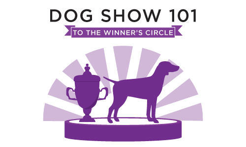 WKC-2021-Dog-Show-101_0-m
