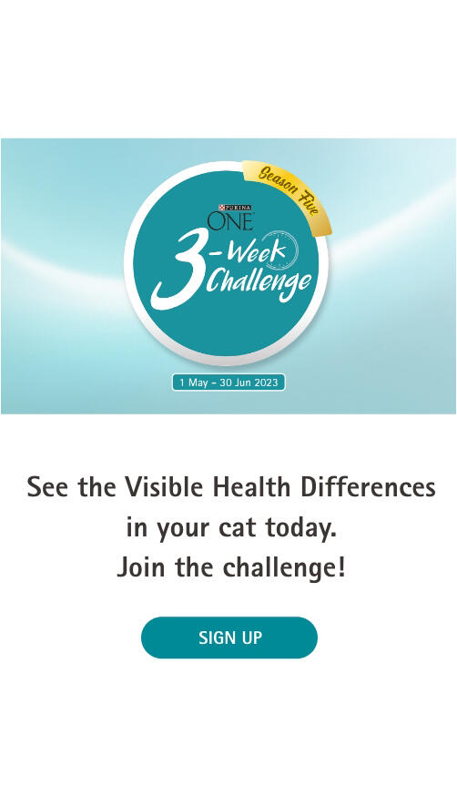 See the Visible Health Differences in your cat today. Join the challenge!