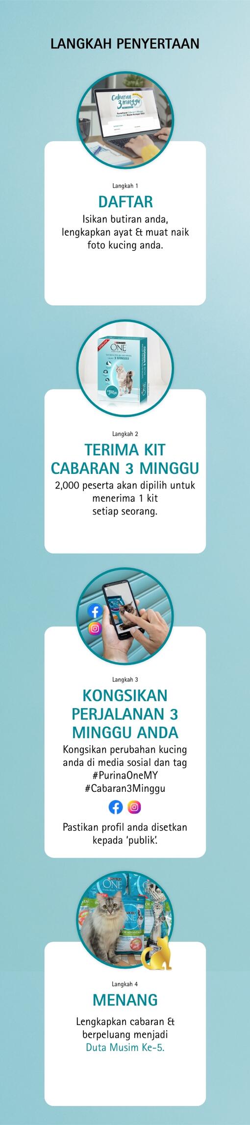 How-to-participate-mobile-ms