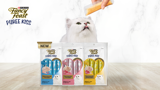 White persian cat enjoying hand fed wet treat with FANCY FEAT Puree Kiss Cat Treats