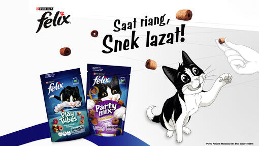 Treat your cat to the all-new FELIX® Cat Treats!