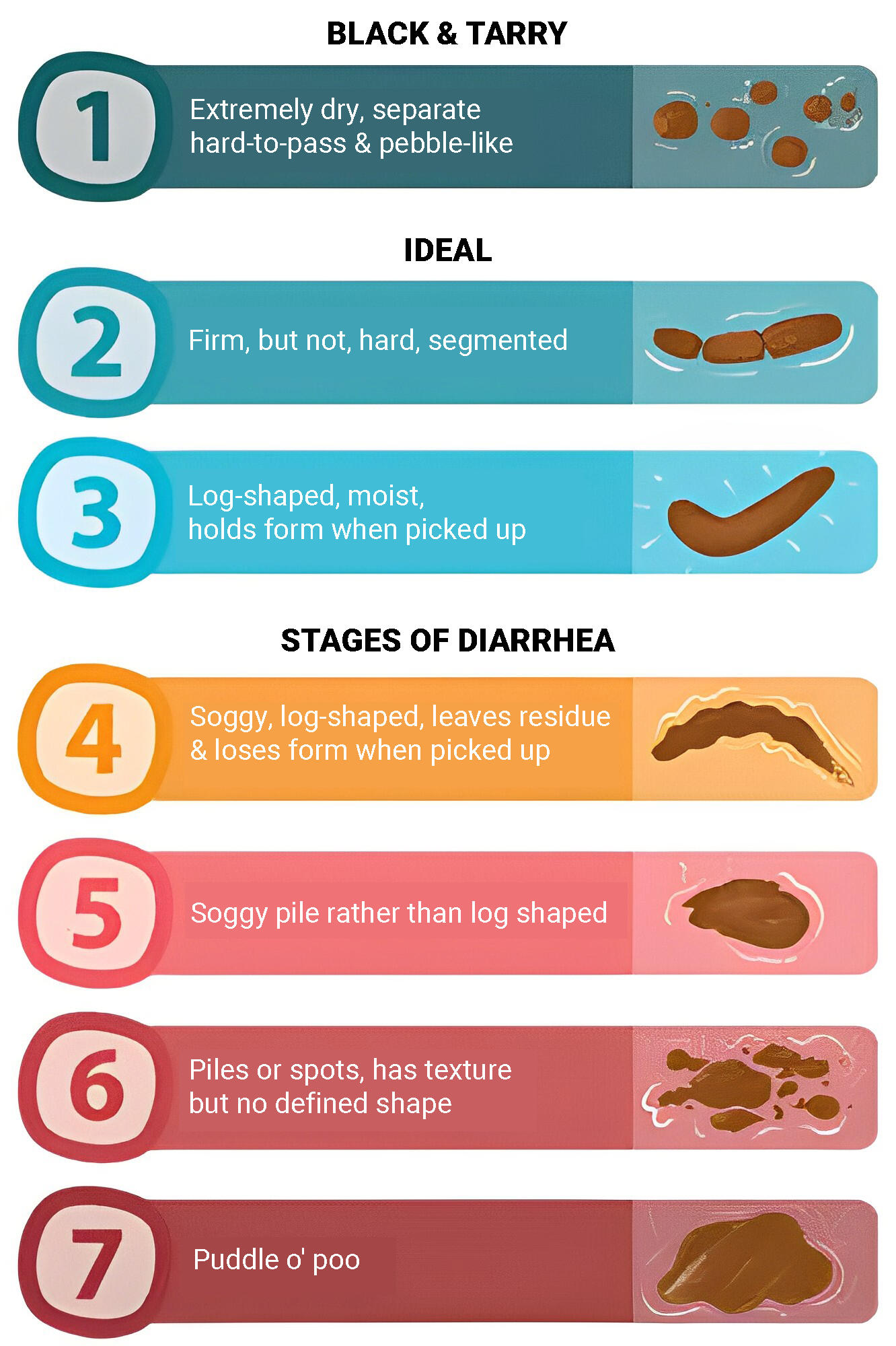 All about dog poop 2 Dog Poop Consistency chart